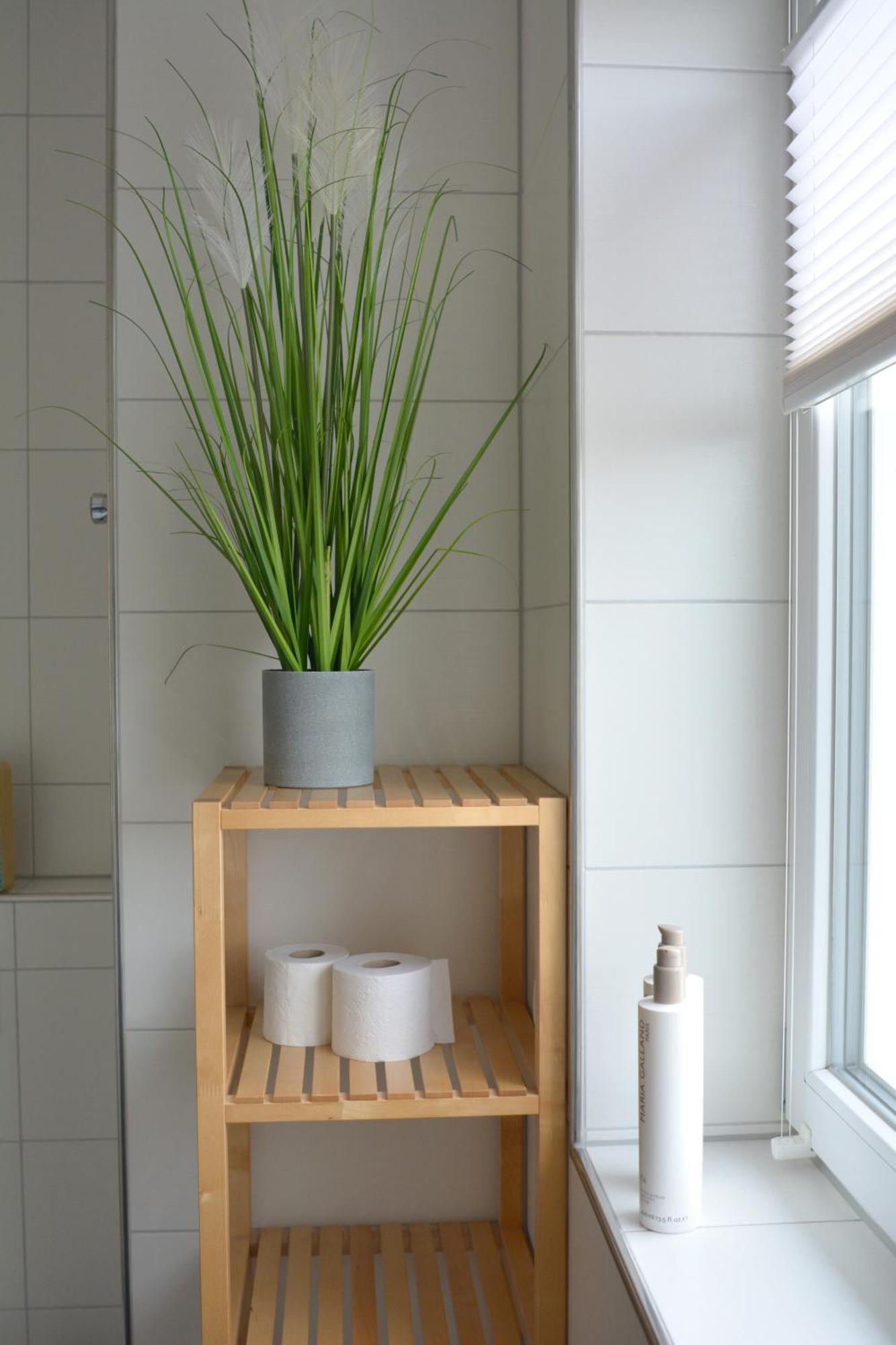 Schwarzwald Lahr Europapark Penthouse Sunshine Appartement